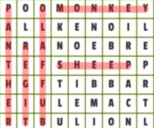 Hra: Animals Word Search
