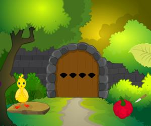 Hra: Backyard Escape