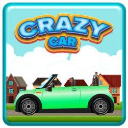 Hra: Crazy Car