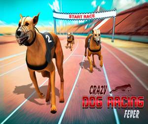 Hra: Crazy Dog Racing Fever : Dog Race Game 3d