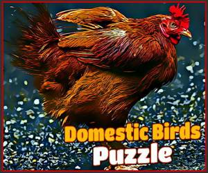 Hra: Domestic Birds Puzzle