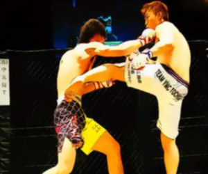 Hra: Fighting Match Jigsaw