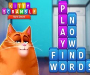 Hra: Kitty Scramble