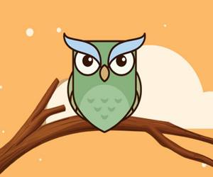 Hra: Magic Owl Coloring