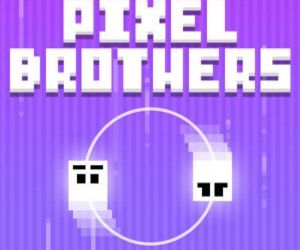Hra: Pixel Brothers