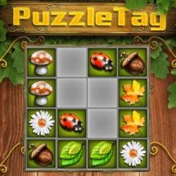 Hra: Puzzletag