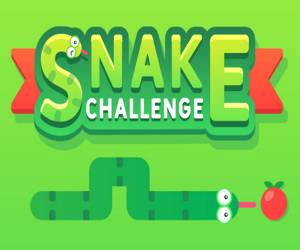 Hra: Snake Challenge