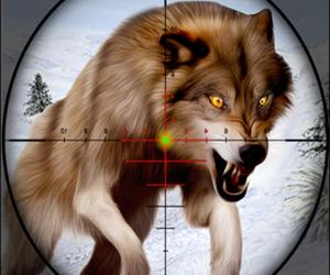 Hra: Wild Animal Hunting
