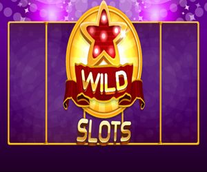 Hra: Wild Slot